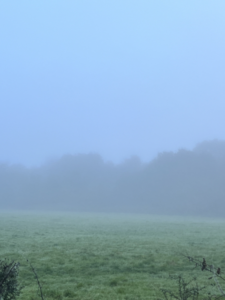 Mounjaro August starters #7