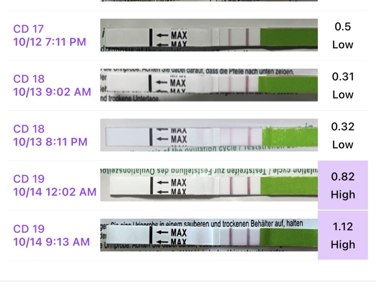 TTC FIRST BABY - New cycle, let's go girls !