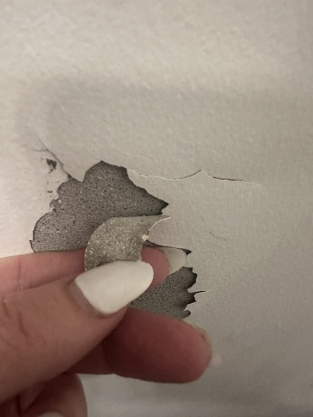 Is this plaster or paint peeling ? (with pics!)