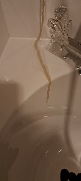 Bluestockings & Orange Wellies: Welcome to the Degu Station!