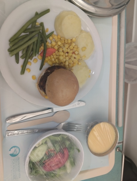 Hospital food thread-whats it like in your country?
