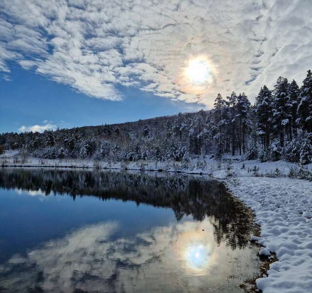 The Autumnal Christmas Chronicles Preamble - Thread 2 further ramblings