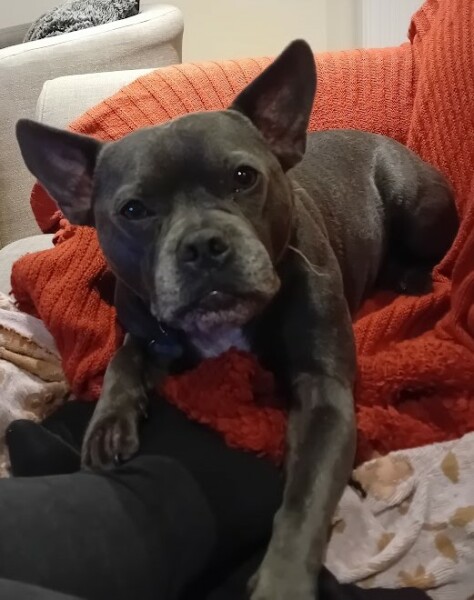 The Continuing Support Thread for Anyone Trying to Lead an Alcohol-Free Life Autumn 2024