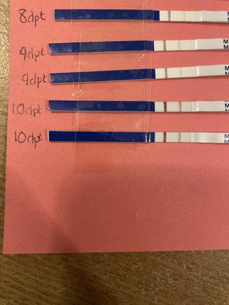 IVF Positive test?