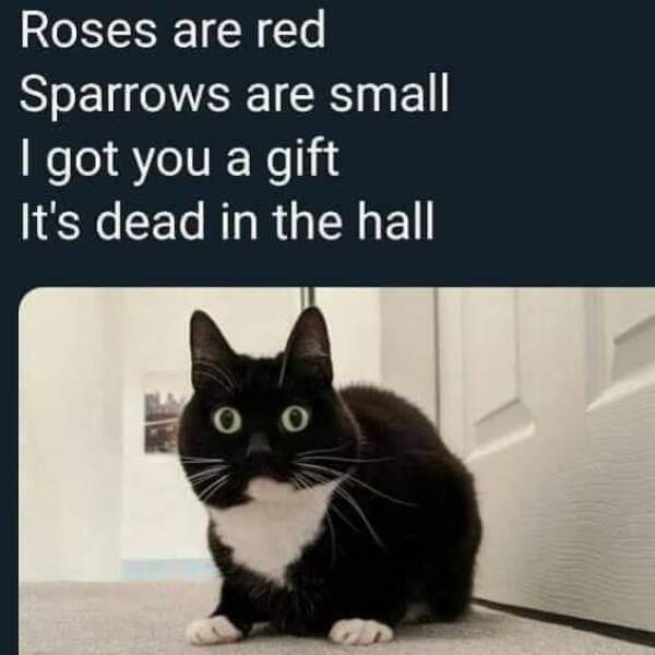 Swagger Inn 177 - The weather is turning colder, the nights are drawing in, we need a few HBFs to help us through the winter <looks around wistfully>