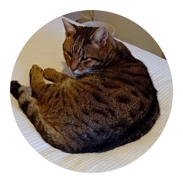 Flounders or Flouncers? The Excellent Cats continue their important debate