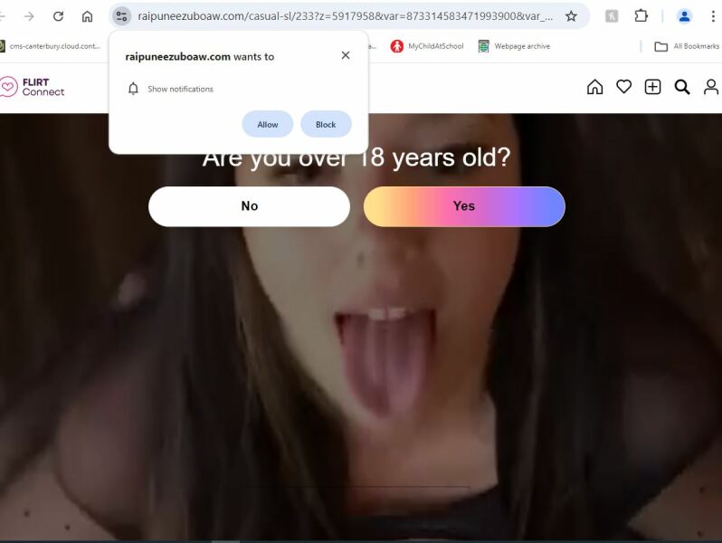 Security alert message