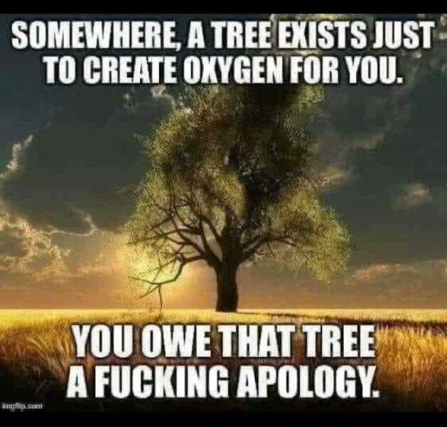 Women's Equality Party and Chris Kaba