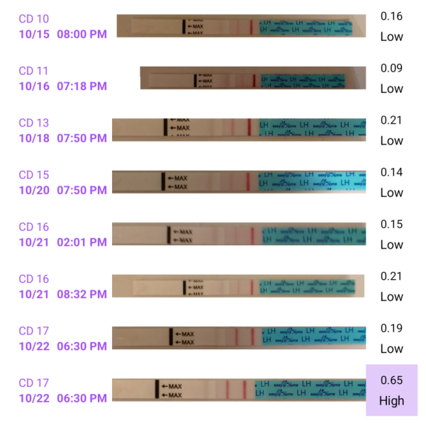 TTC FIRST BABY - New cycle, let's go girls !