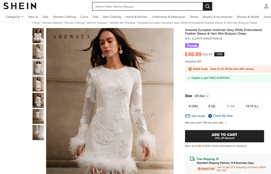 Need help finding a “fabulous” party dress