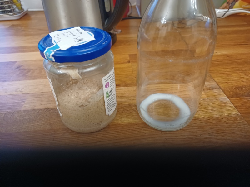 Sourdough Bread Starter