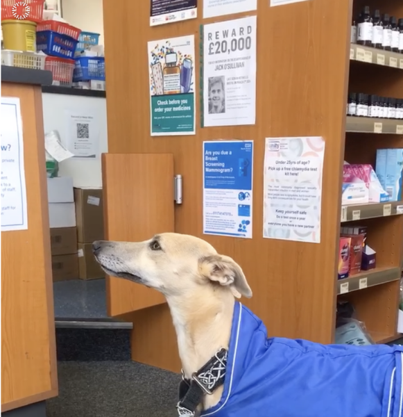 Has anyone seen Boots are closing 290 stores across the UK?
