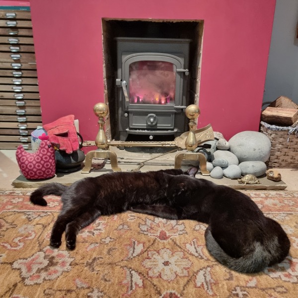 Flounders or Flouncers? The Excellent Cats continue their important debate