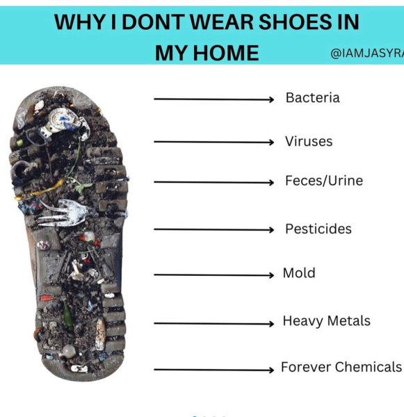 I thought it would be easier to find a nursery with a no outdoor shoes policy !!