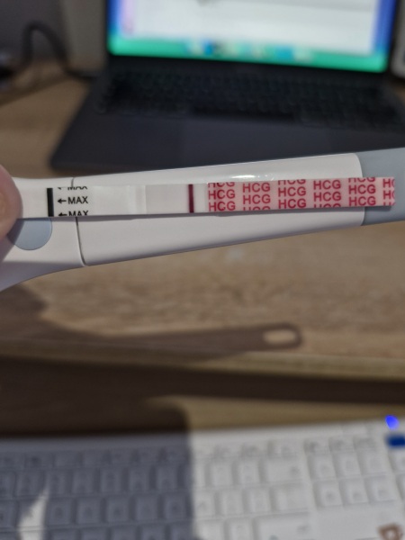 2dpo buddies please join!!