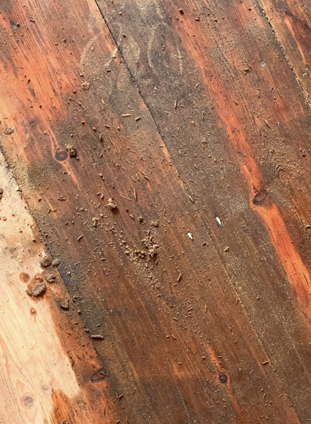 Do these floorboards look shite?