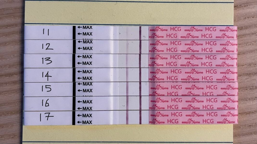 17 DPO