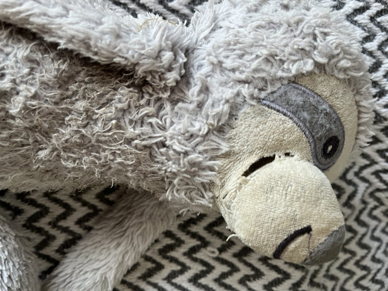 Need Help Finding Replacement Dog Toy