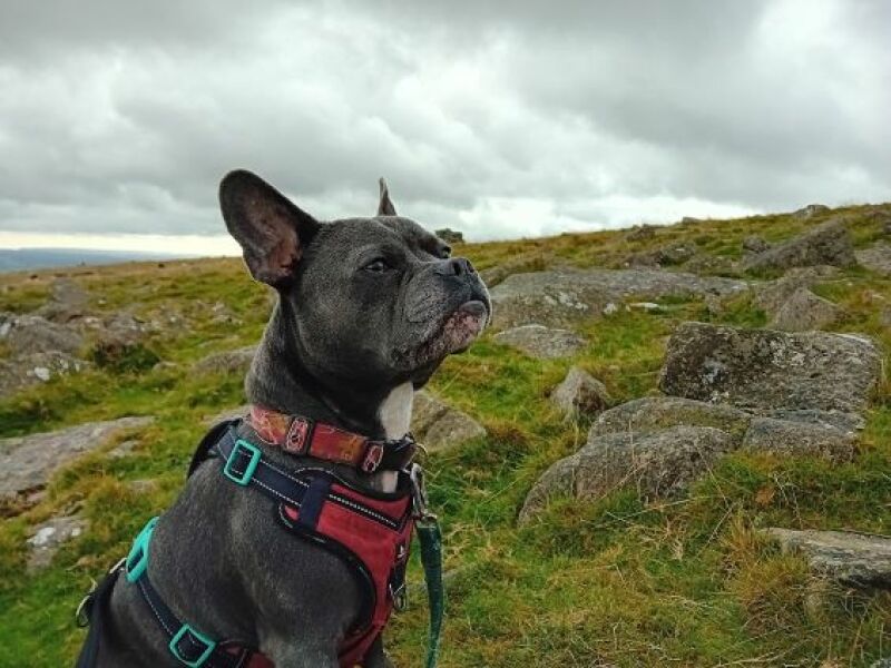 The Continuing Support Thread for Anyone Trying to Lead an Alcohol-Free Life Autumn 2024