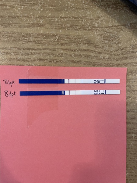 IVF Positive test?