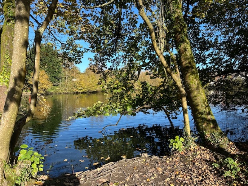 The Nigel Slater Christmas Chronicles Readalong 2024