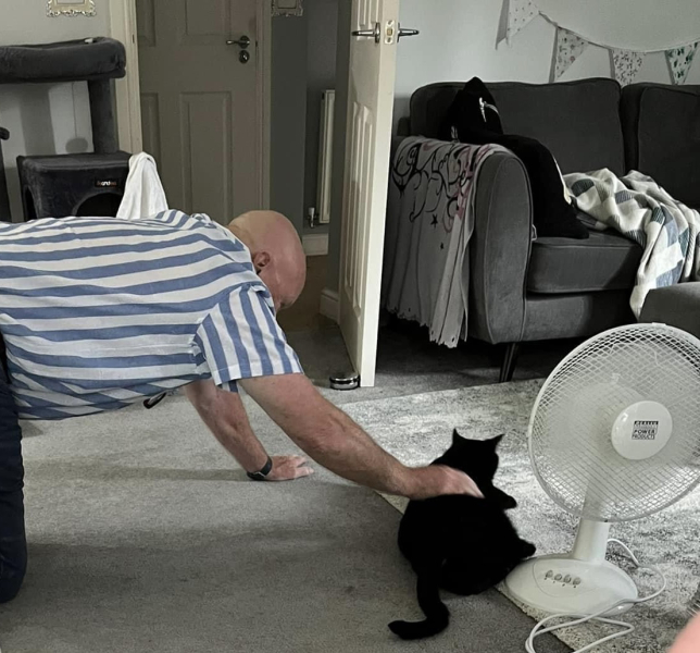 To want DH to say yes to a cat!