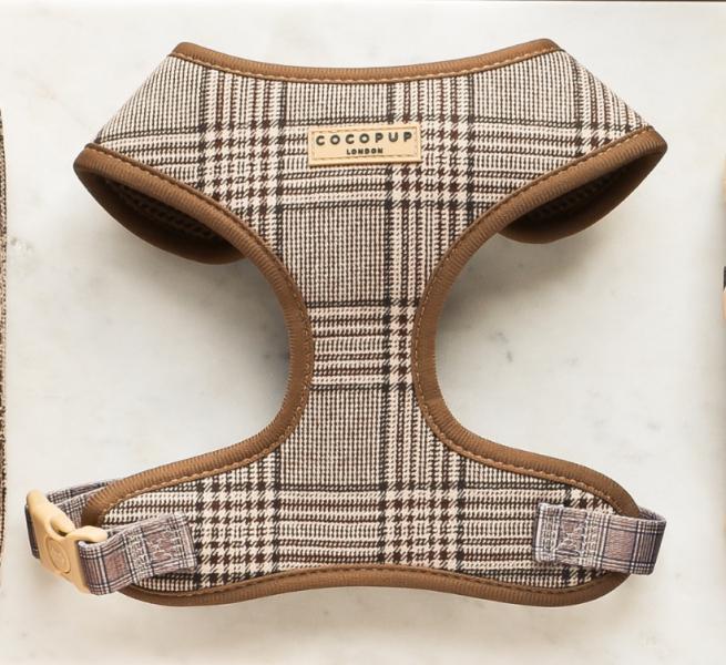 Royal Style: Welcome to the Court of the Dragon Queen!