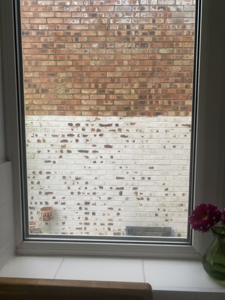 Please help with this view from my kitchen window.