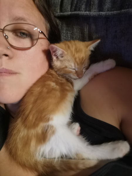 Thread 8 - the one with Poopy the troll