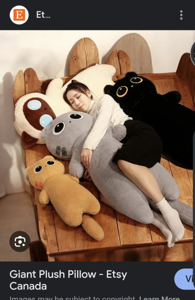 Equivalent to a Teddy for a 36 year old?