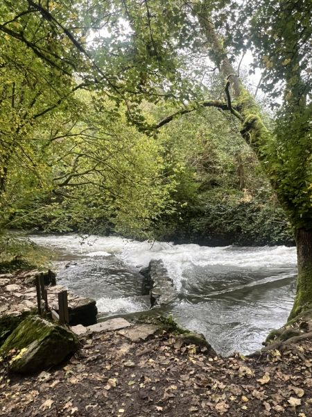 Mounjaro August Starters 6