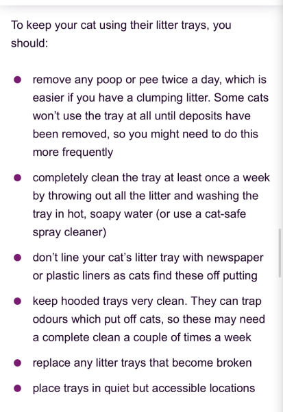 AIBU to expect 4 cats to stay in utility room/study?