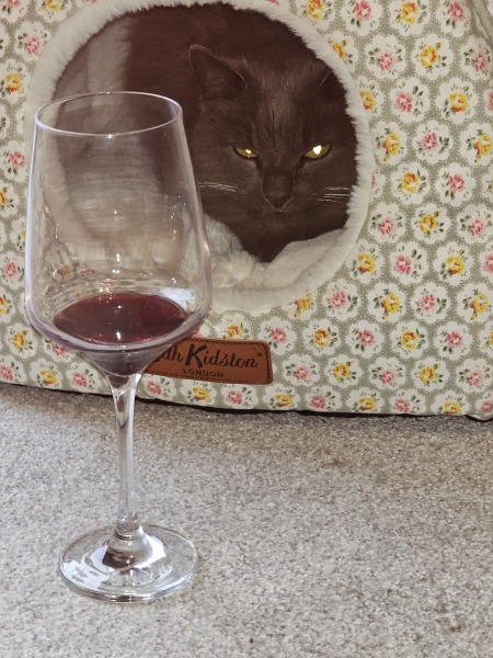 She drank my fucking CHAMPAGNE!!!