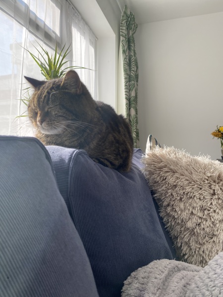 Cancer Support Thread 95 - No googling allowed 😊