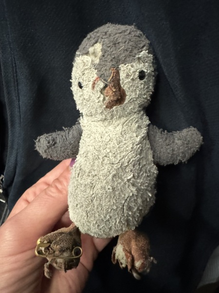 To ask you to help me find this Toys owner