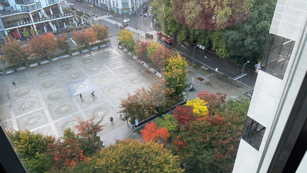 Season of mist and mellow fruitfulness...and ramping up those Christmas preparations! Countdown to Christmas 2024 (thread 3) (title edited by MNHQ @request of OP)