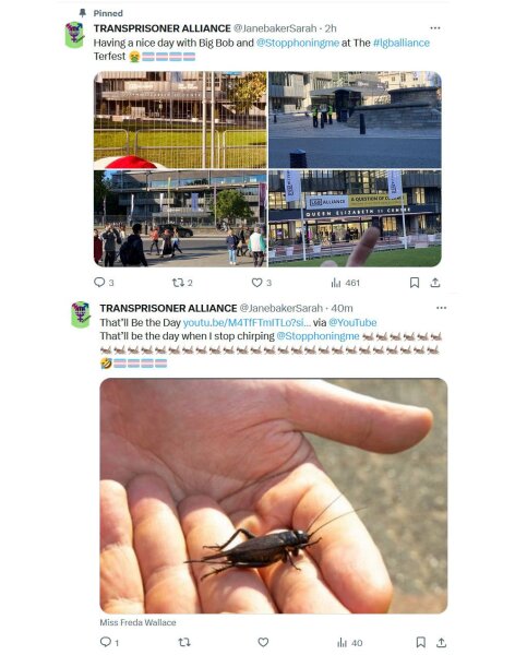 LGB Alliance  conference disrupted by TRAs