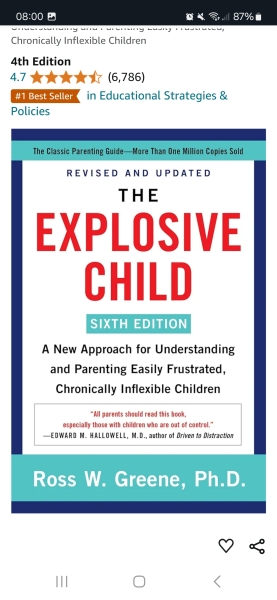 Schools for kids with emotional/behavioral issues? Boarding ideally.