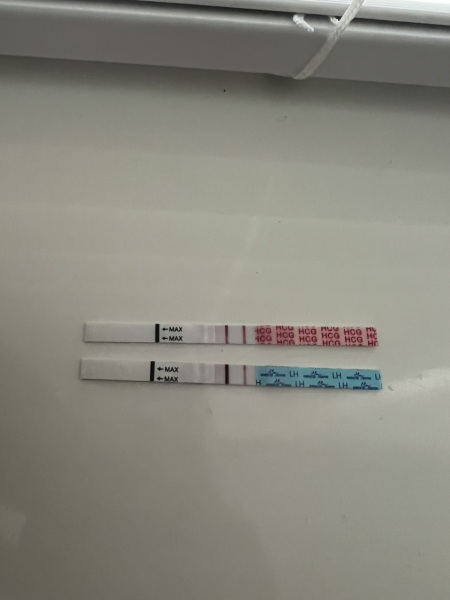 Is this test correct?