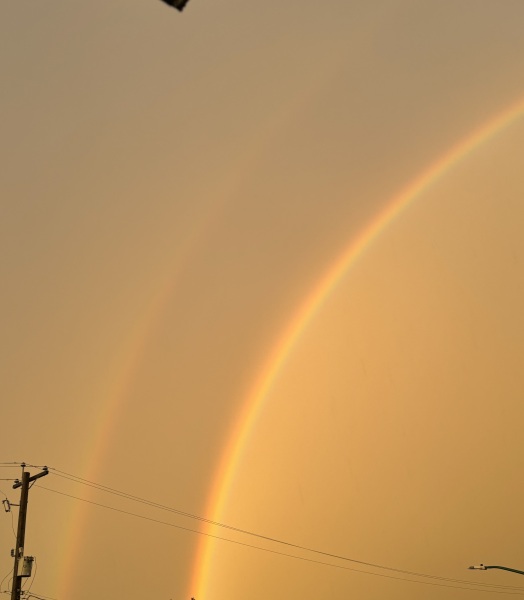 Come and tell me your dull and unexciting news 31: Calmly through the day