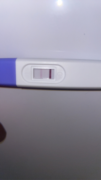 6dpo