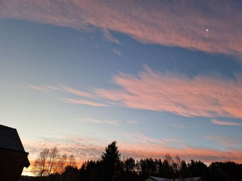 The Nigel Slater Christmas Chronicles Readalong 2024