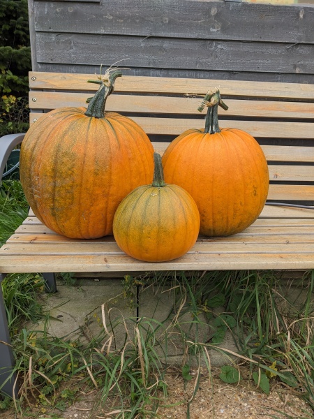 The Nigel Slater Christmas Chronicles Readalong 2024