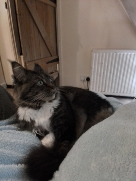 Come and tell me your dull and unexciting news 31: Calmly through the day