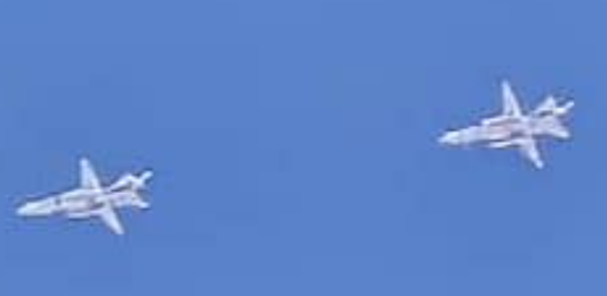 Bluestockings & Orange Wellies: Welcome to the Degu Station!