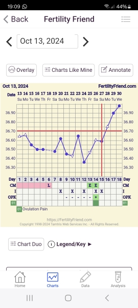 Month 14 ttc, anyone else