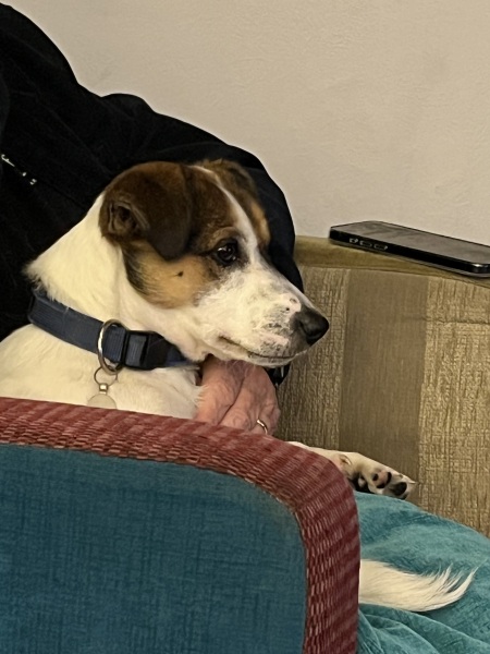 Thread 9 Starmer : Return to Westminster