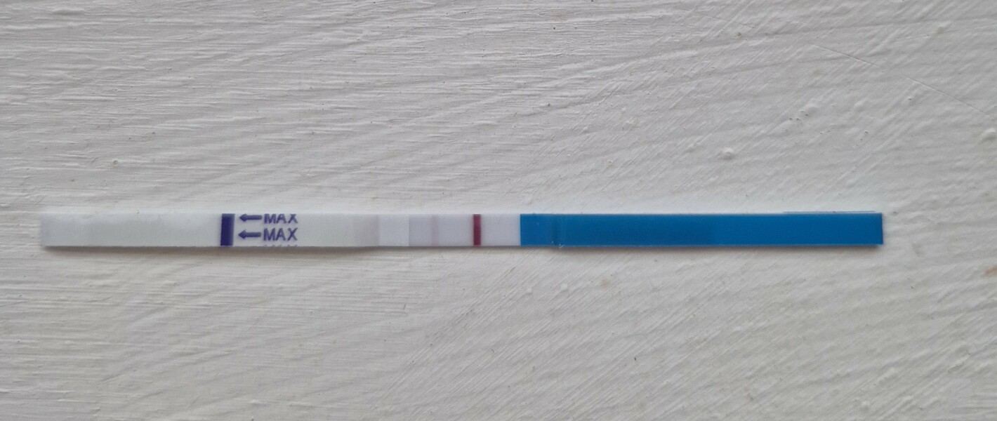 Pregnancy test opinions