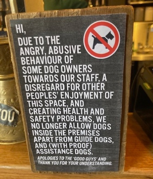 Dogs are everywhere?!