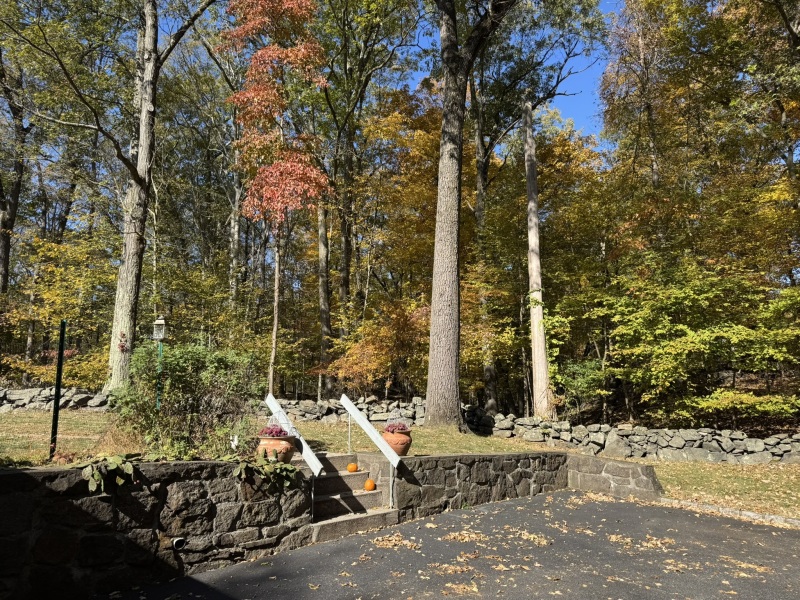 Come and tell me your dull and unexciting news 31: Calmly through the day